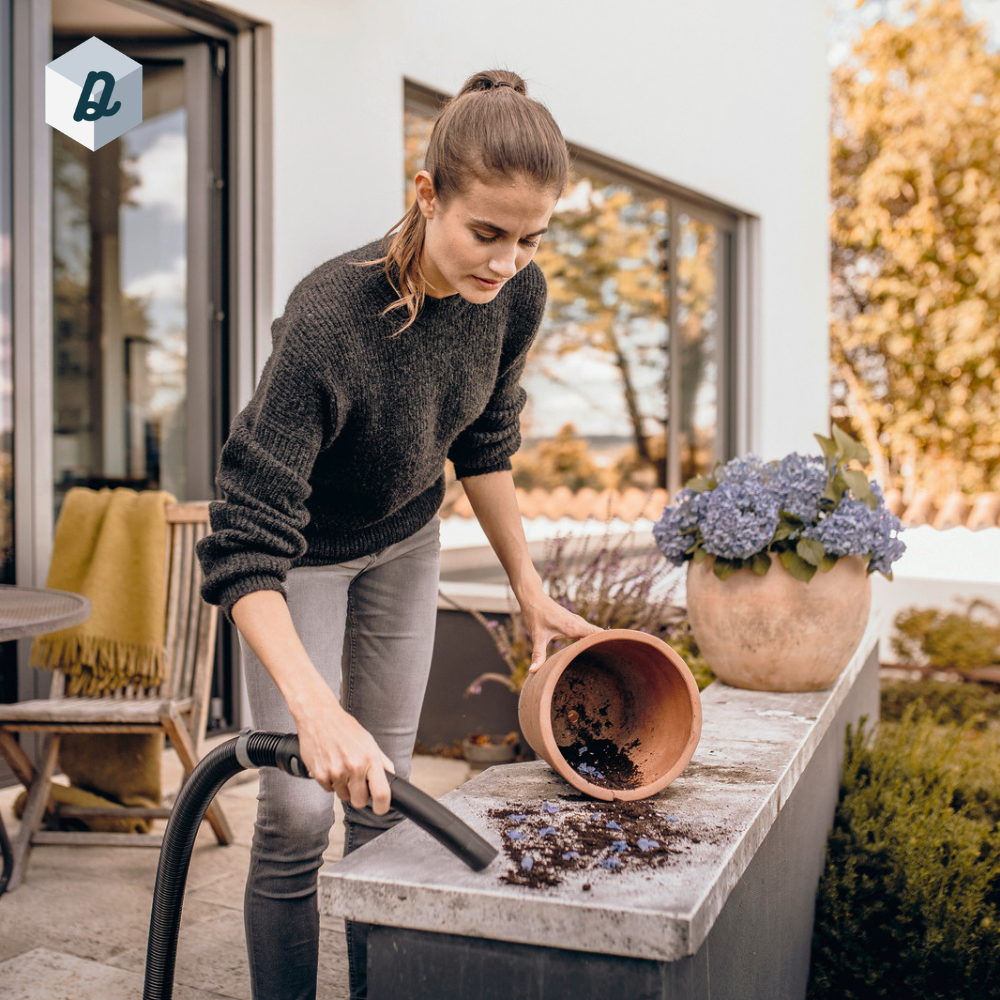 Aspirateur Eau & Poussière 25L Inox KÄRCHER | WD5