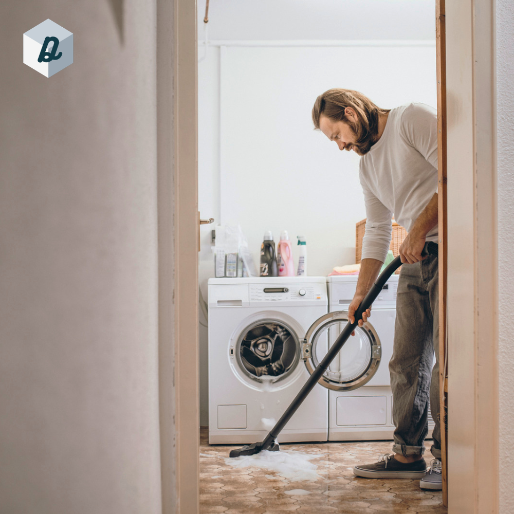 Aspirateur Eau & Poussière 25L Inox KÄRCHER | WD5